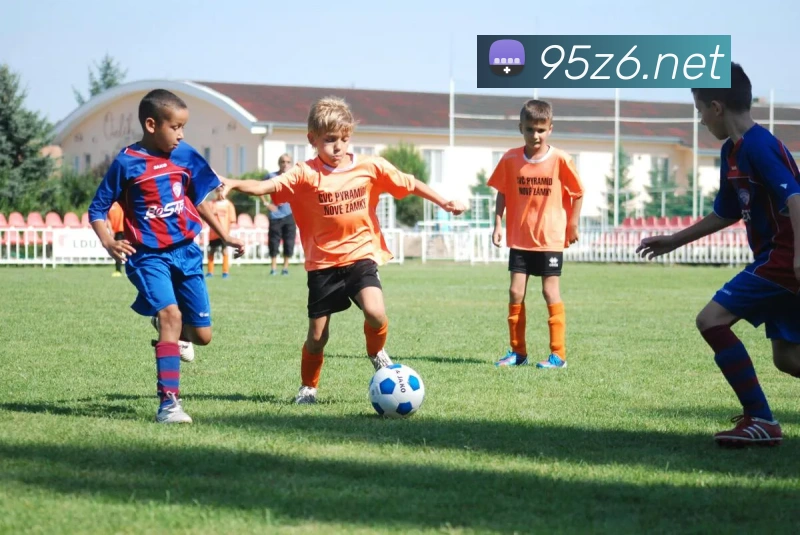 尊龙z6全站App 尊龙z6全站App
